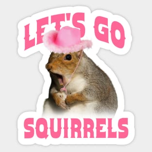 Let's Go Squirrels Shirt, Aesthetic Clothing, Y2K Slogan Women's Sticker